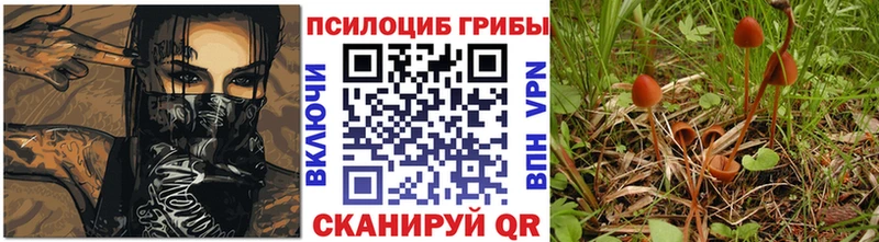 MEGA сайт  где найти наркотики  Ливны  Галлюциногенные грибы ЛСД 